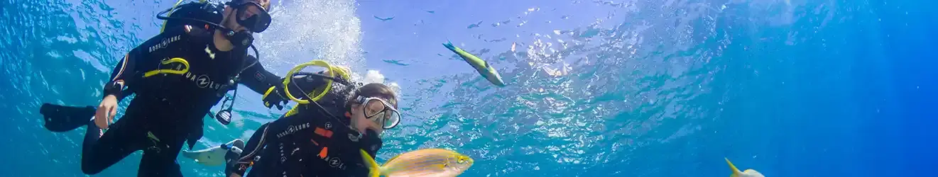 Batejos 3