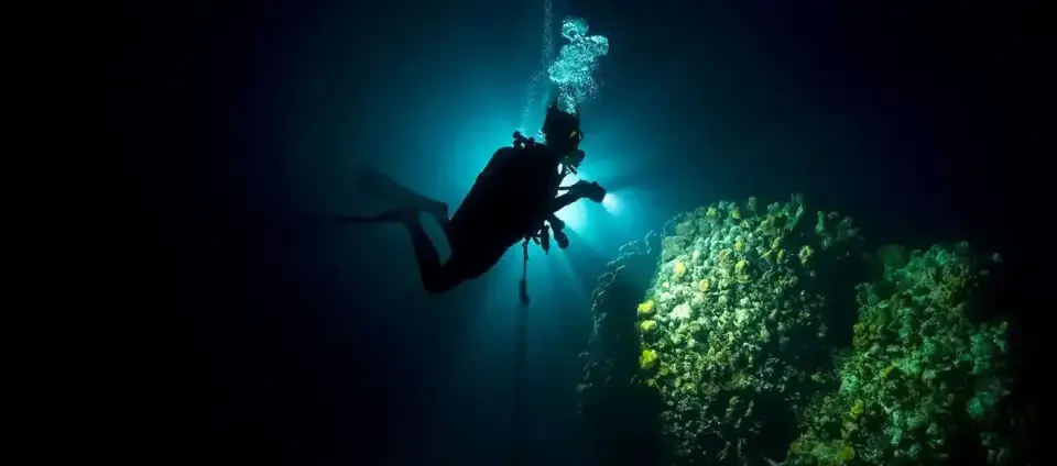 Buceo nocturno
