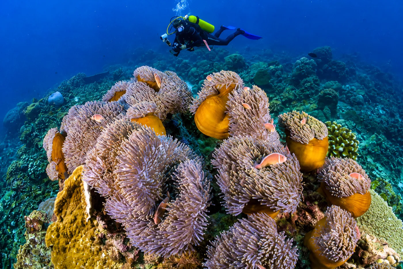 Panorama Reef South