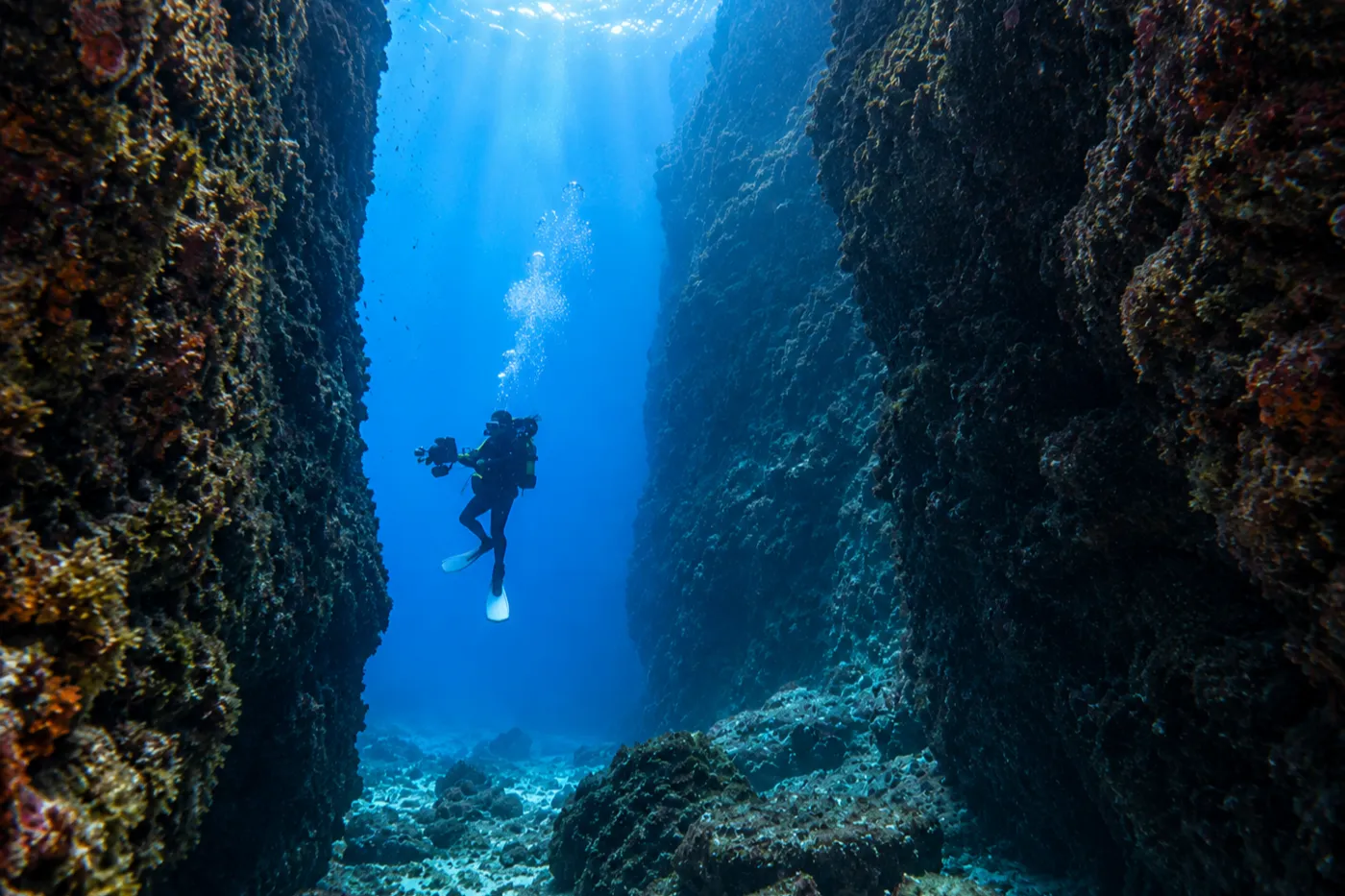 The Canyon