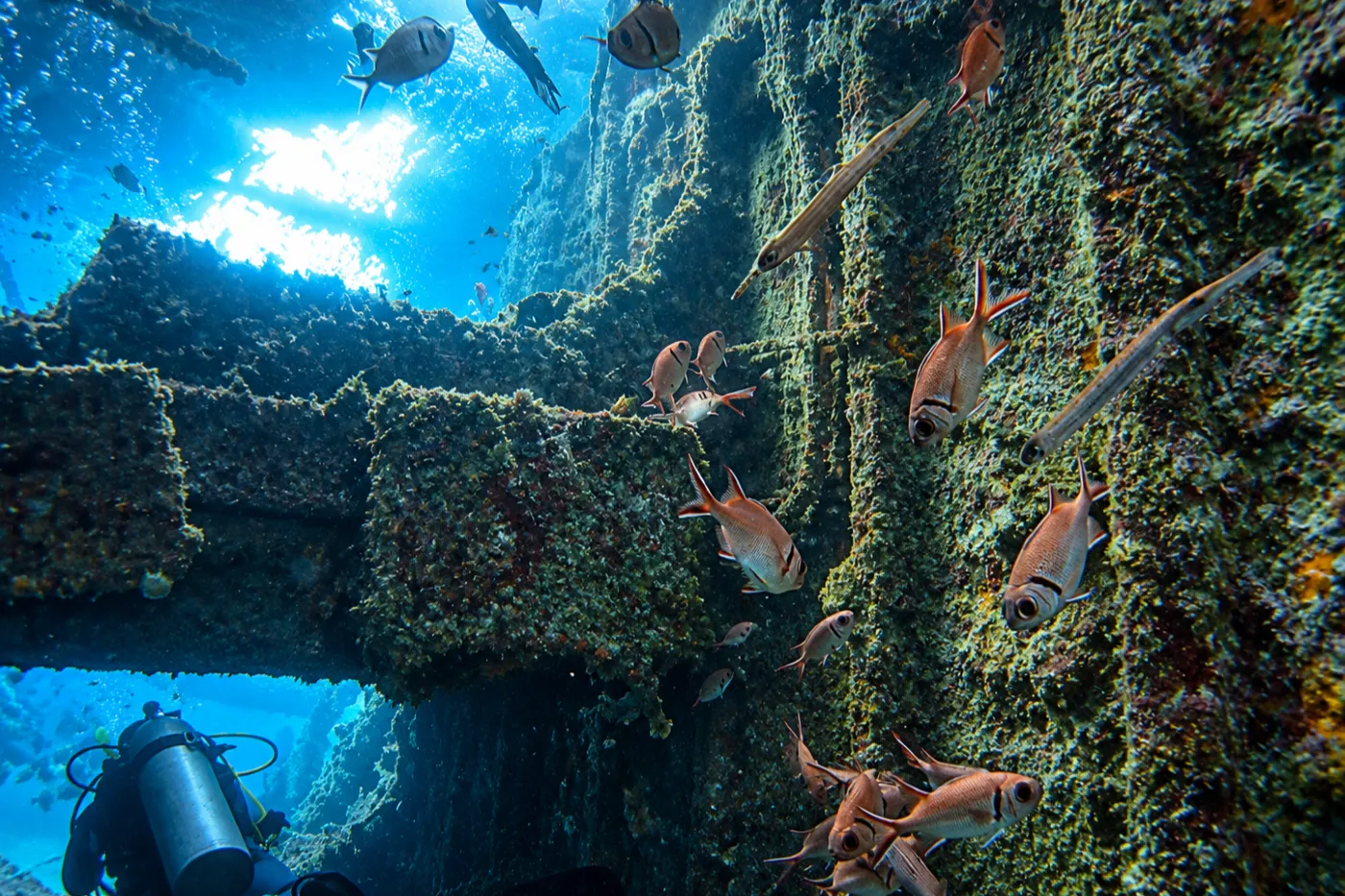 Santo Antão Wreck