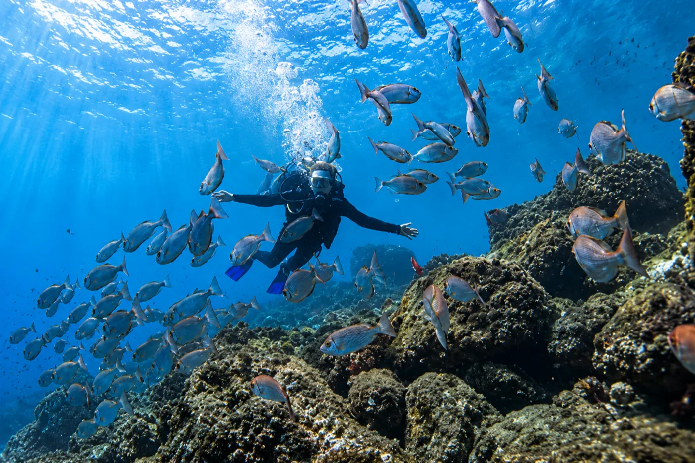 Ilha da Âncora – Ponta Leste