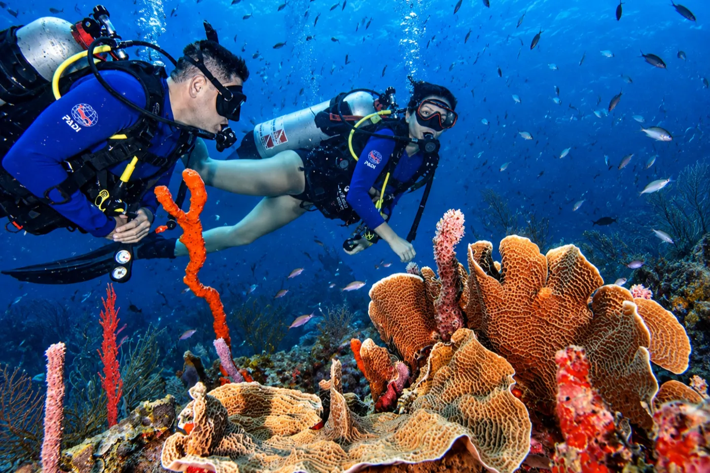 Imelda