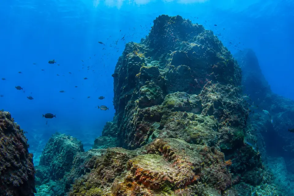 Furió de Cala Estreta