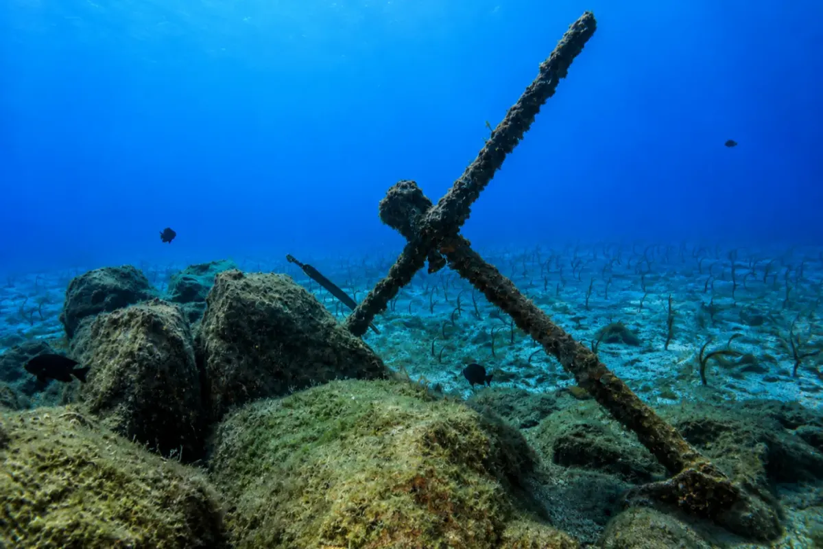 Anchors Canary