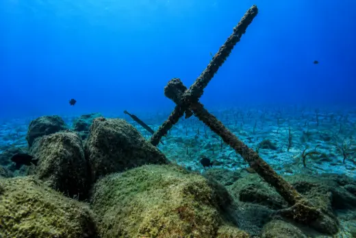 Anchors Canary