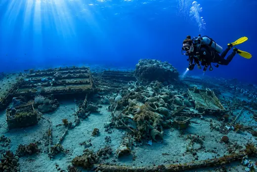 Shark & Yolanda Reef