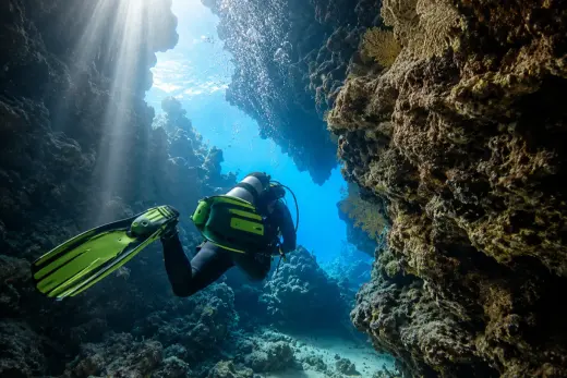 Jackfish Alley