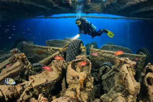 SS Thistlegorm