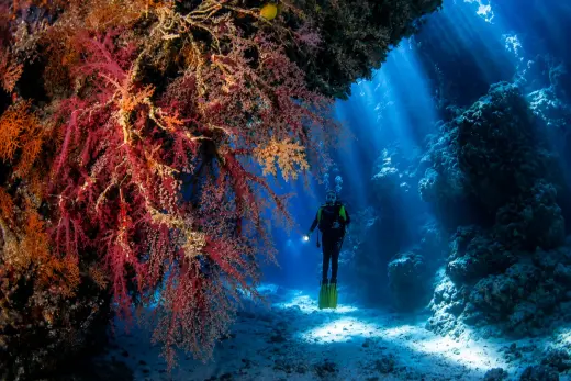 Elphinstone Reef South