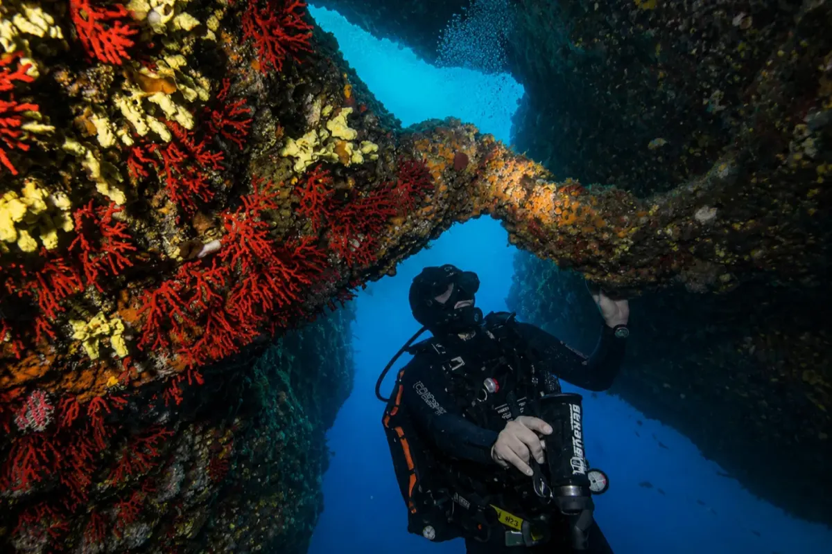 Grotte à Corail