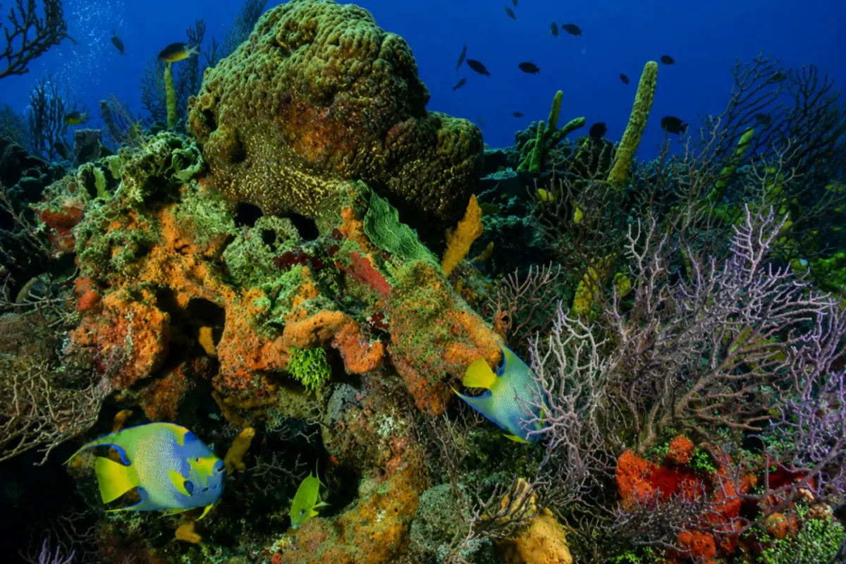 Paraíso Perdido