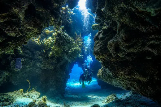 Palancar Reef