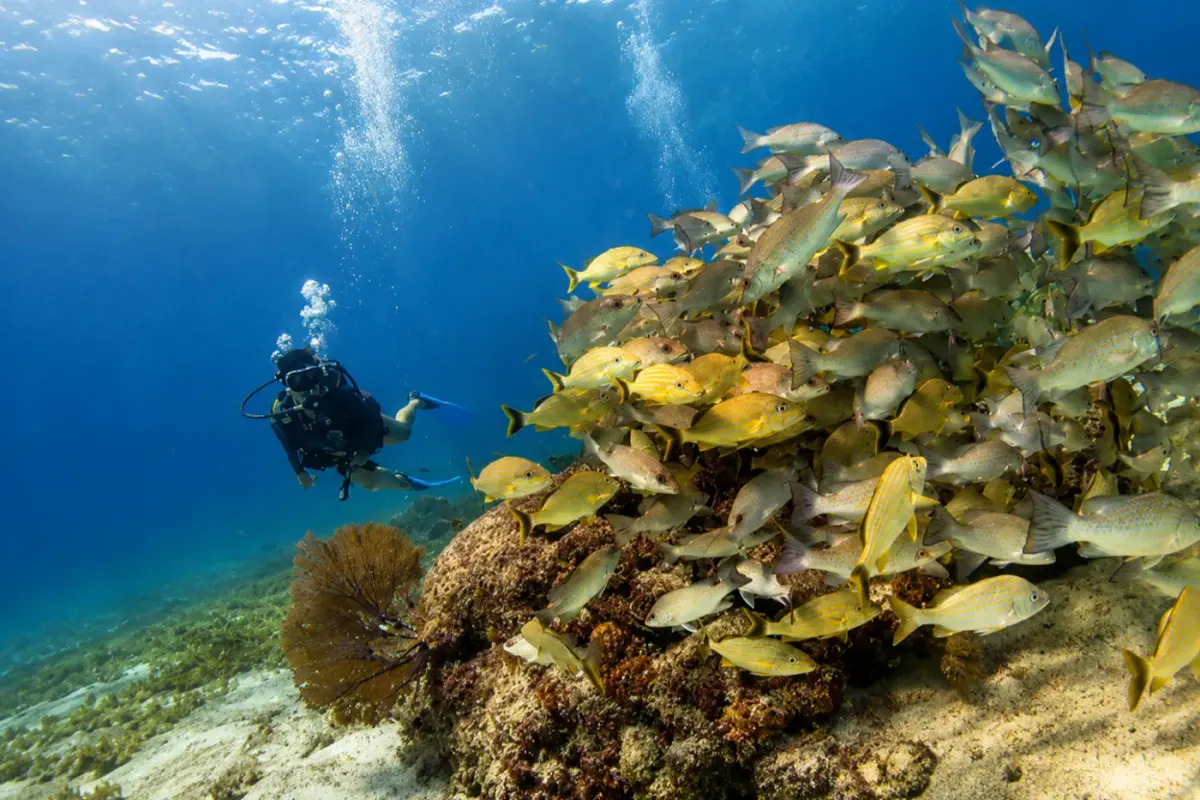Chankanaab Shallows