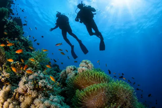 Anegada de Adentro