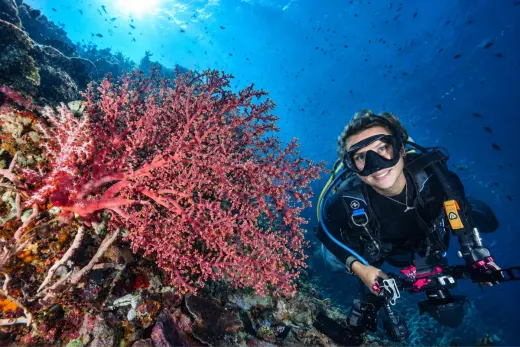 The Reef