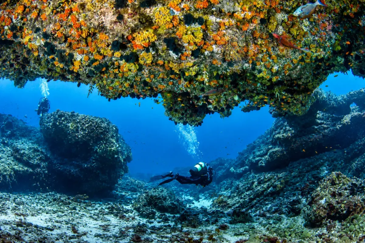 Northern Shark Caves