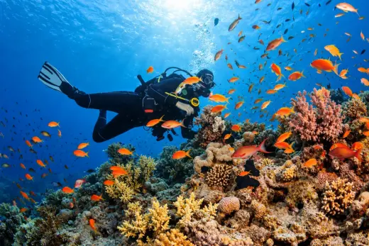 Mnemba Atoll