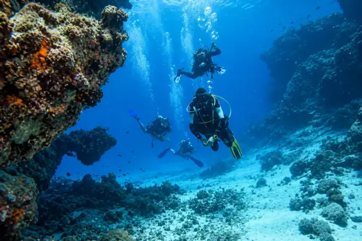 Molasses Reef