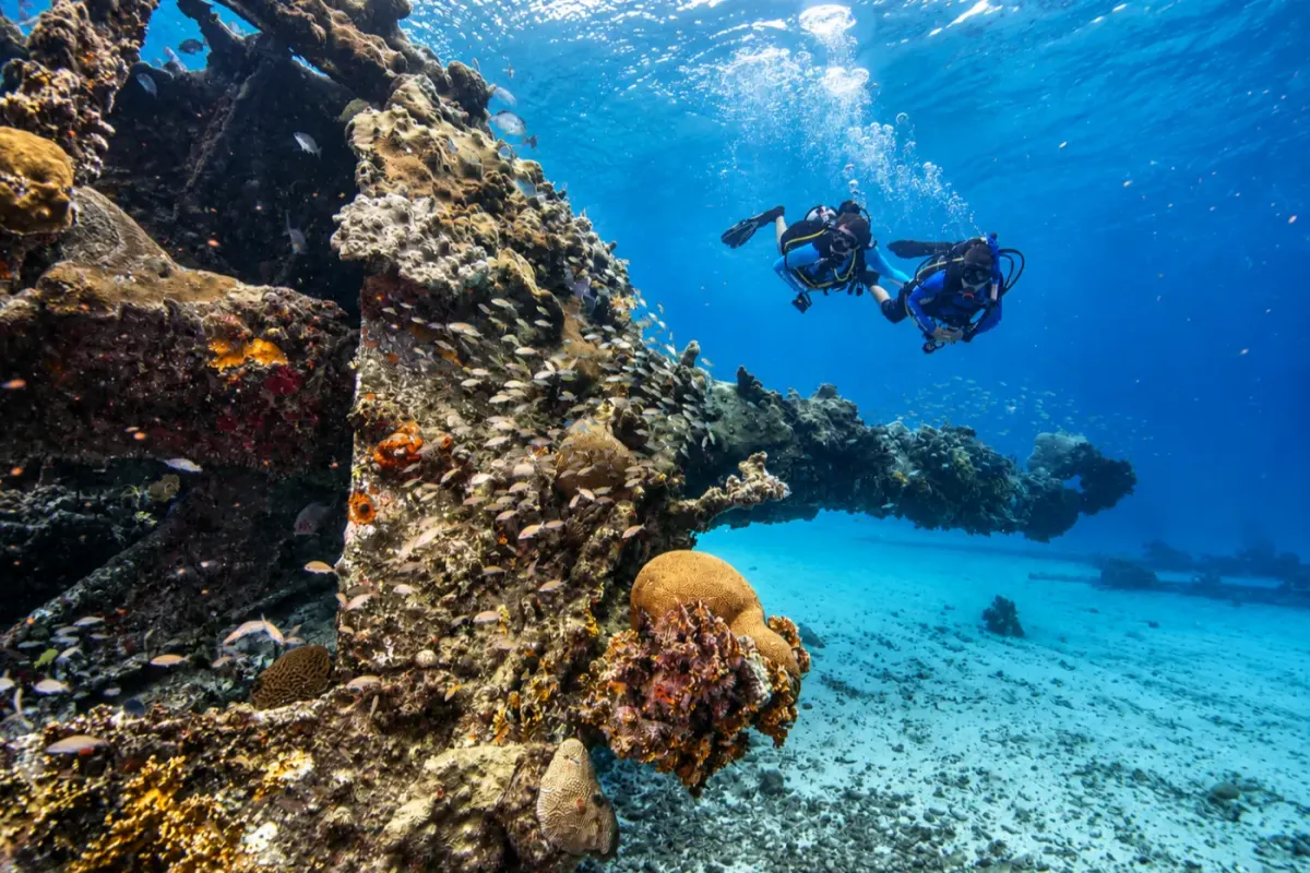Windjammer / Avanti Wreck