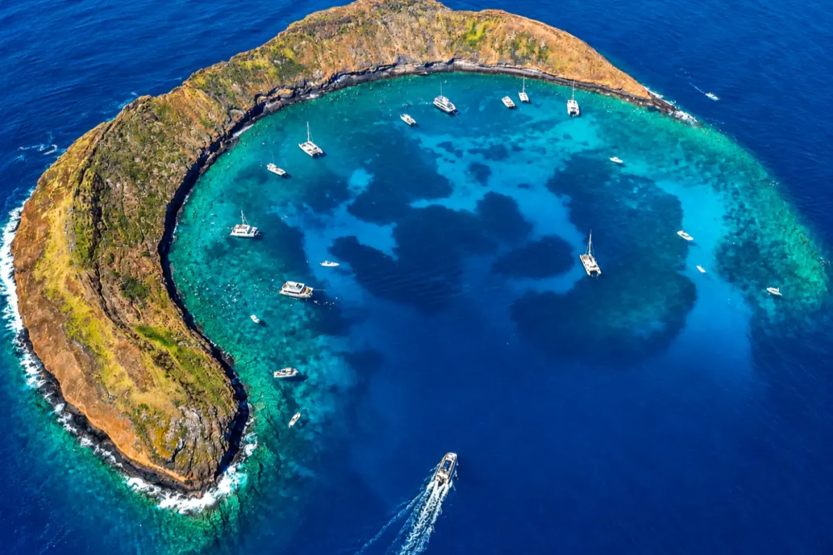 Molokini Crater – Mooring A