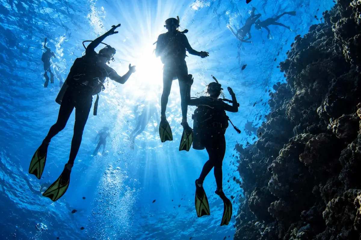 Norman Reef