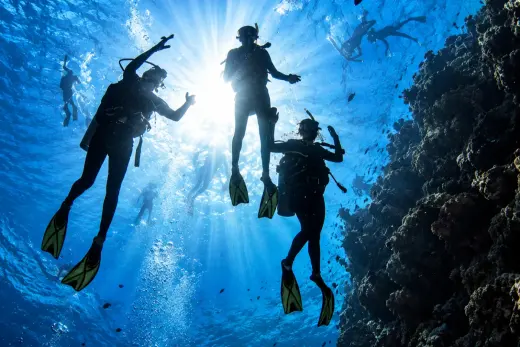 Norman Reef