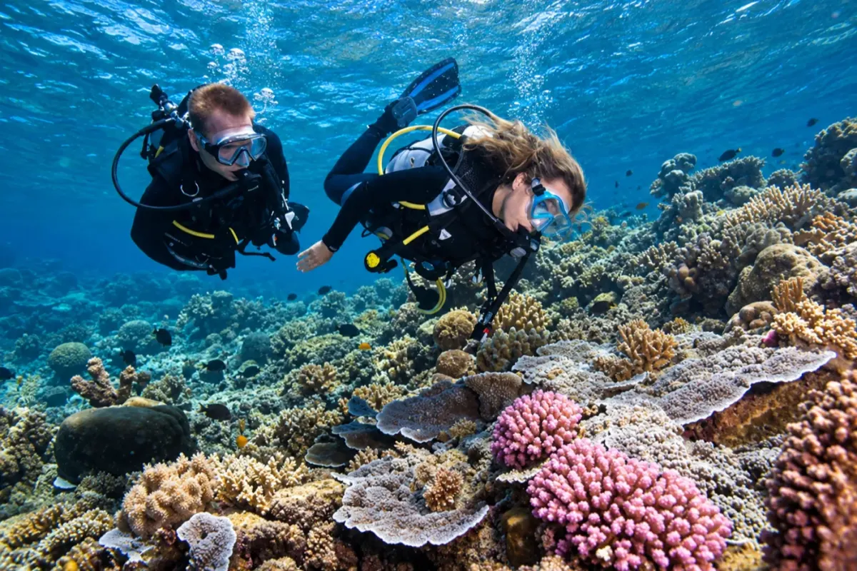 Moore Reef