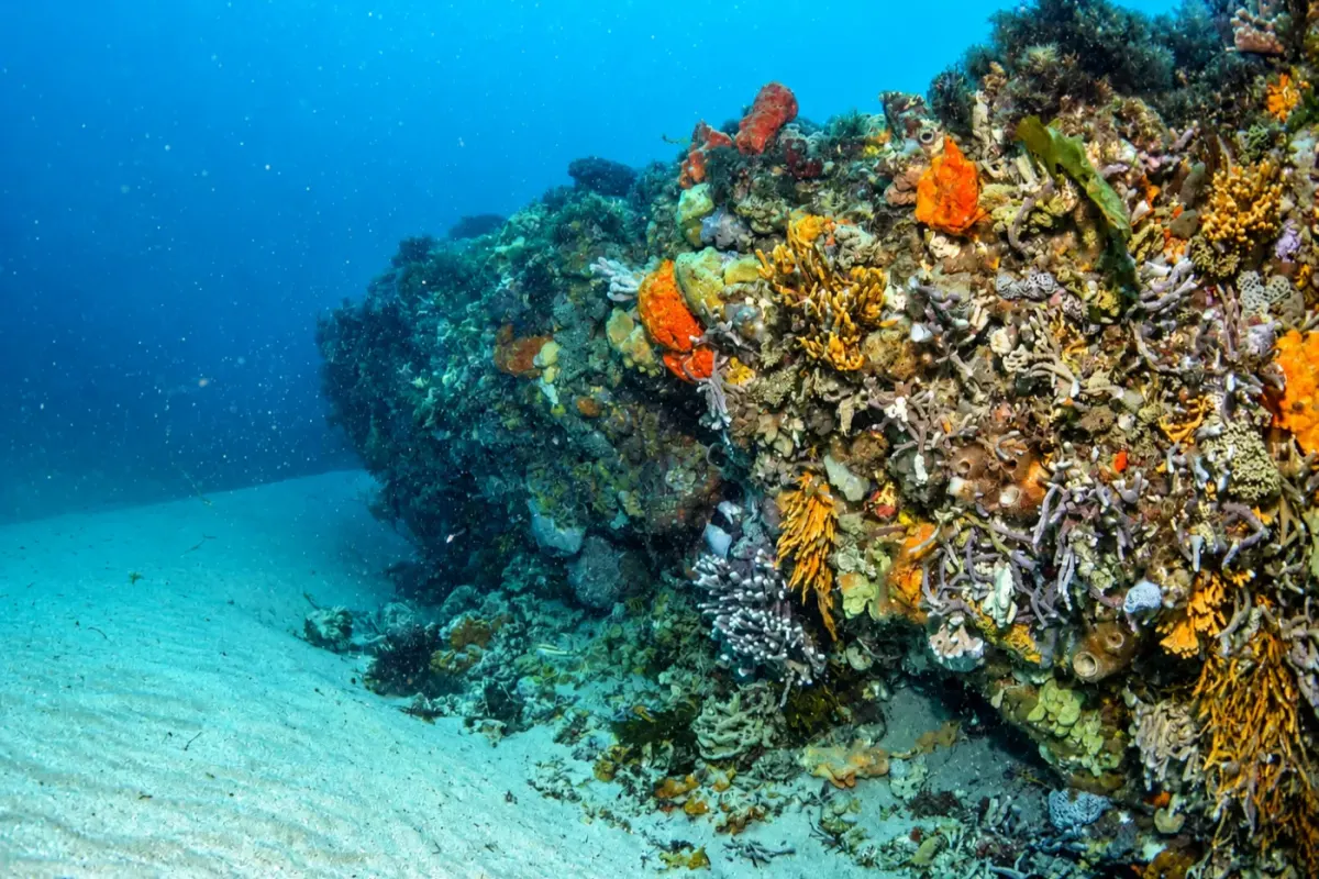 Portsea Hole
