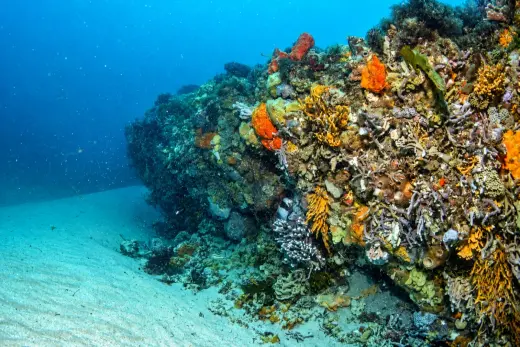 Portsea Hole