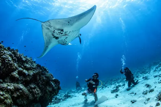 Ijakaja – Manta Cleaning Station