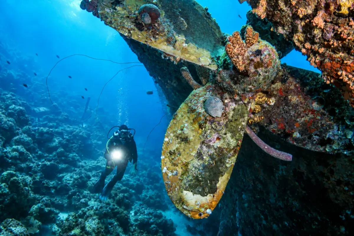 Hilma Hooker
