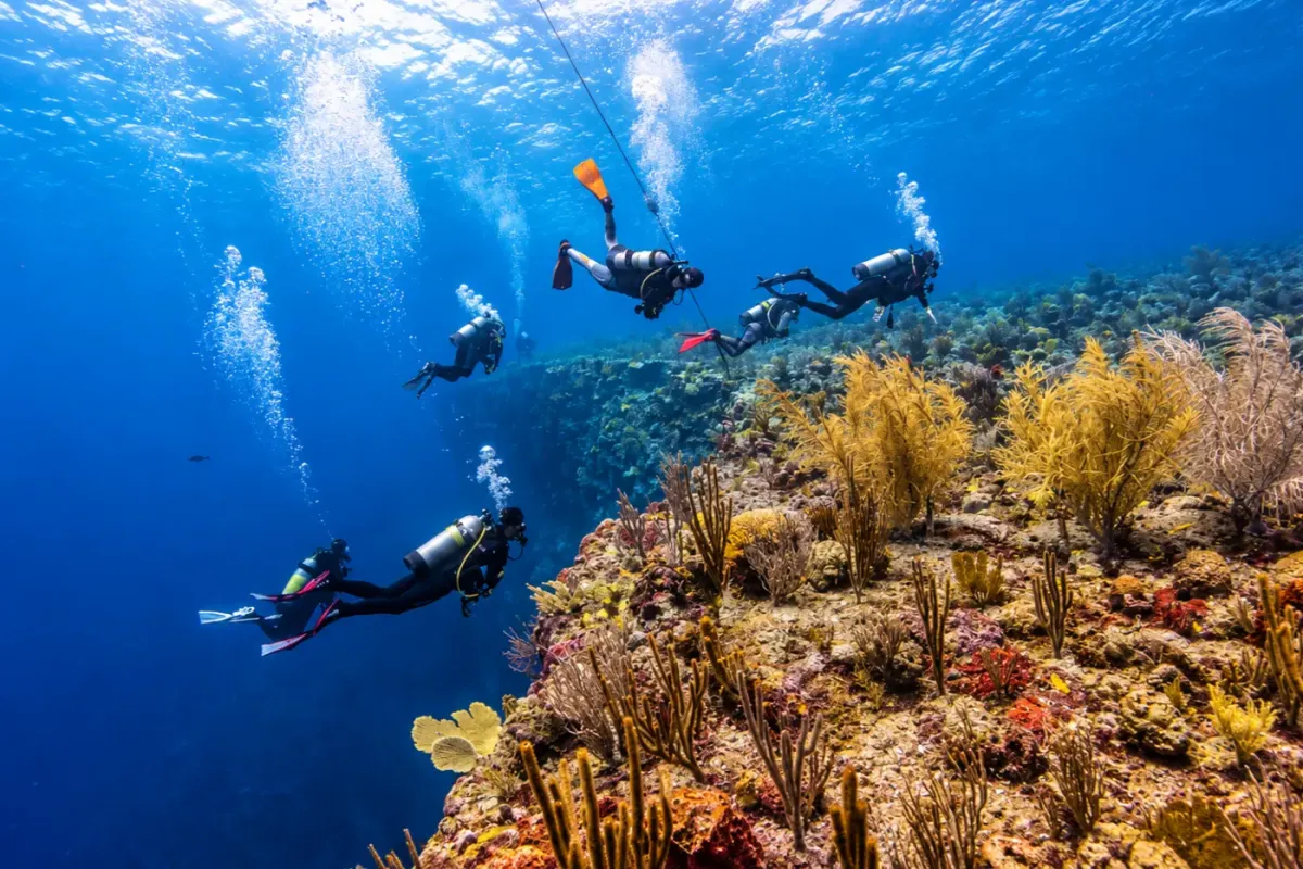 Man O'War Shoals