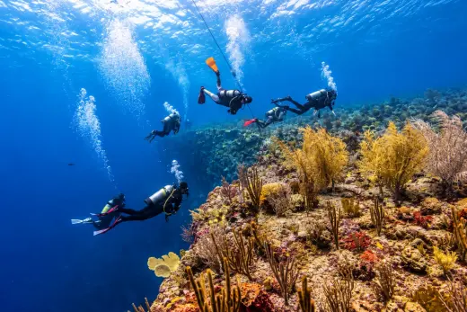 Man O'War Shoals