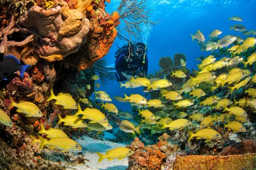 Ilha dos Gravatás – Buraco das Almas