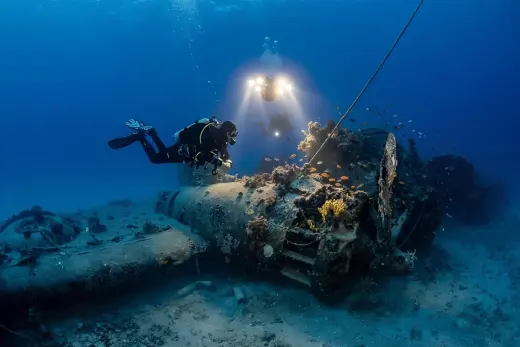 B-24 Liberator “Le Petite Fleur”