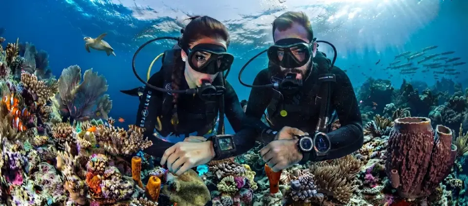 Ordenadores de buceo: qué hay realmente detrás de esa muñequera que nos dice cuándo subir