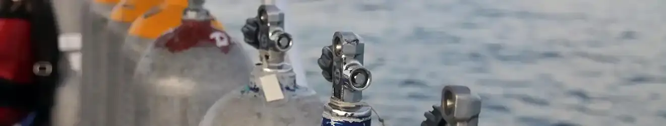 Slider 3