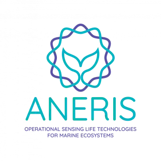 Aneris